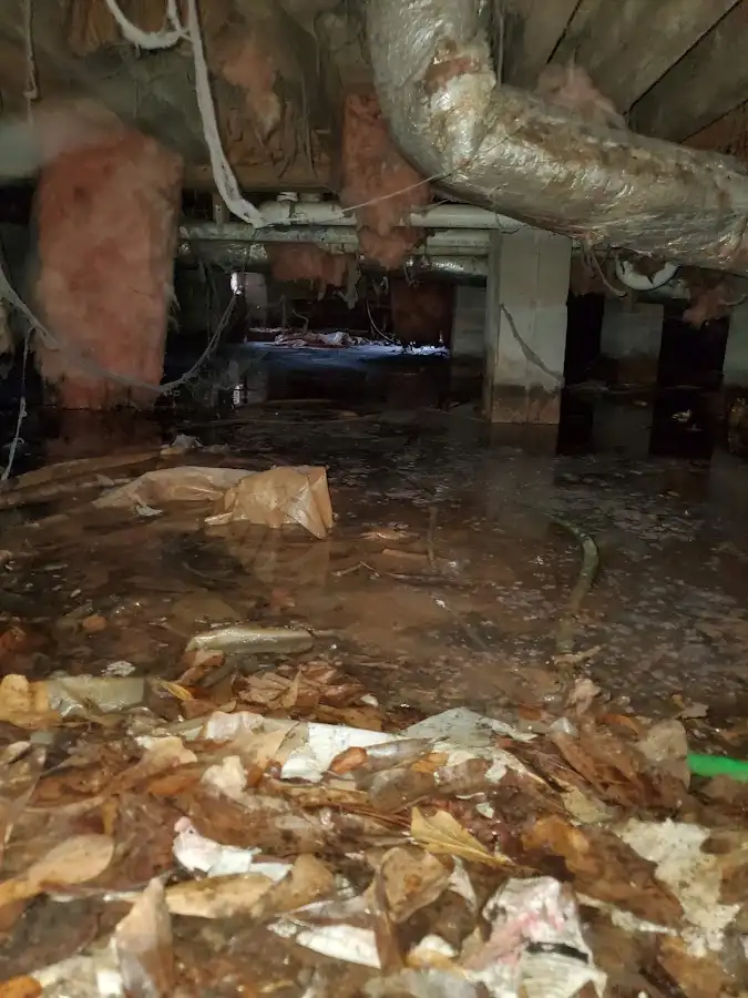 Crawl space flood assessment for Leak Detection & Repair in Sandpoint