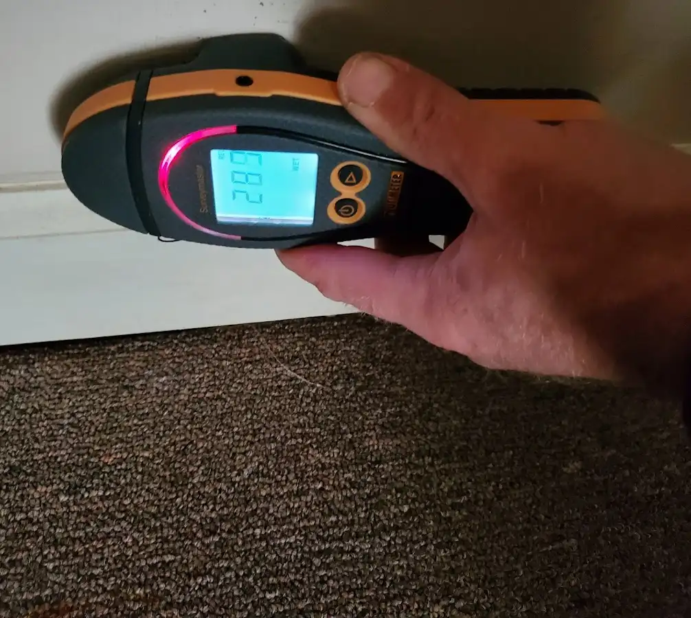 Moisture detection at baseboard during Mold Inspection & Testing in Sandpoint